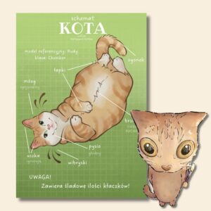 Schemat kota: RUDY