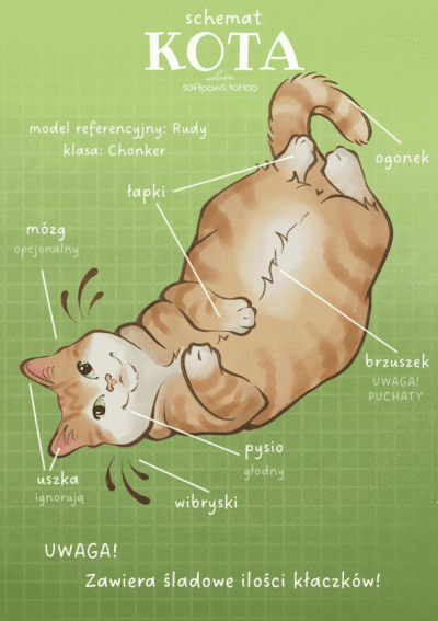 Schemat kota: RUDY — @softpaws.tattoo